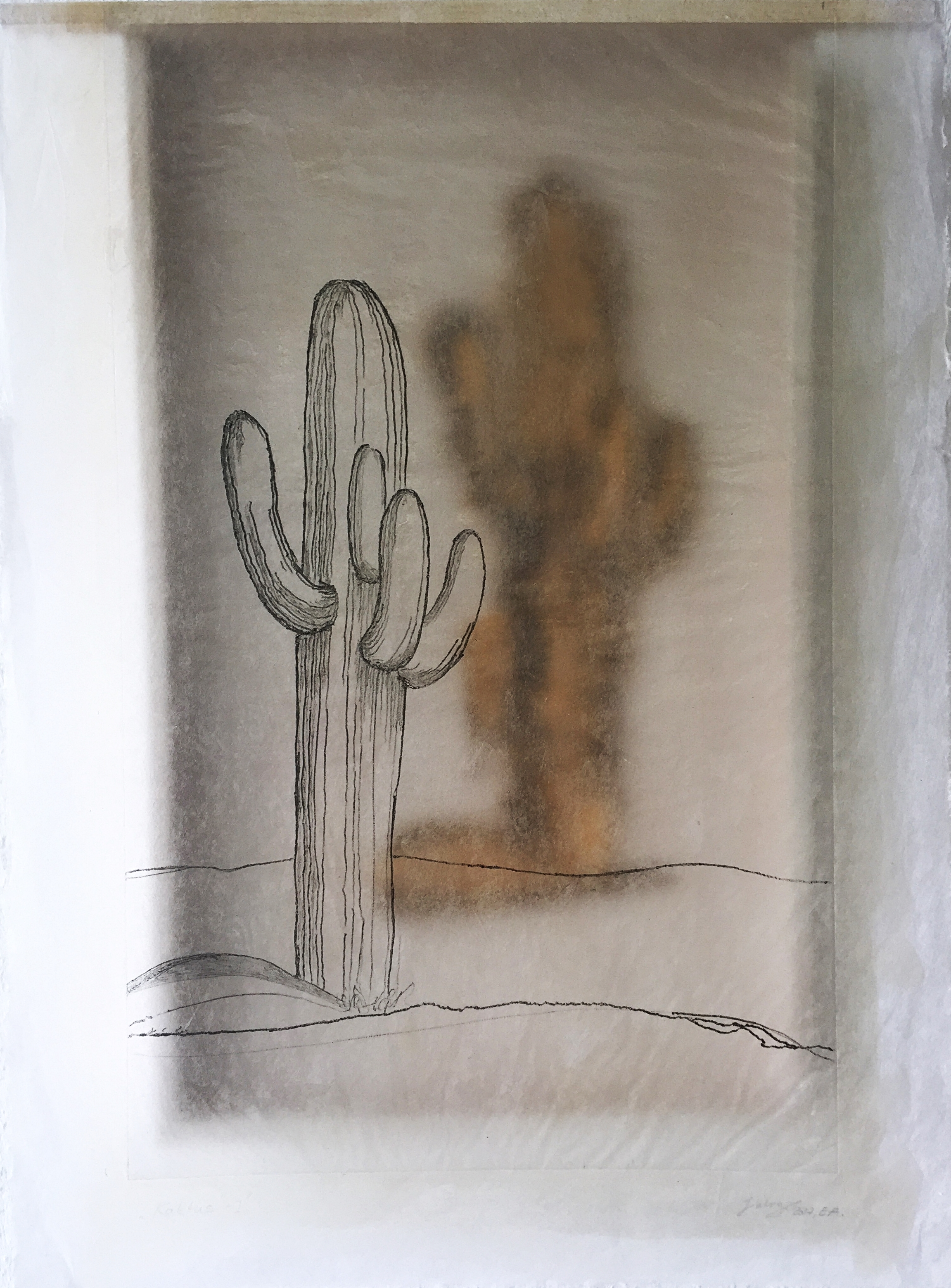 Kaktus - I